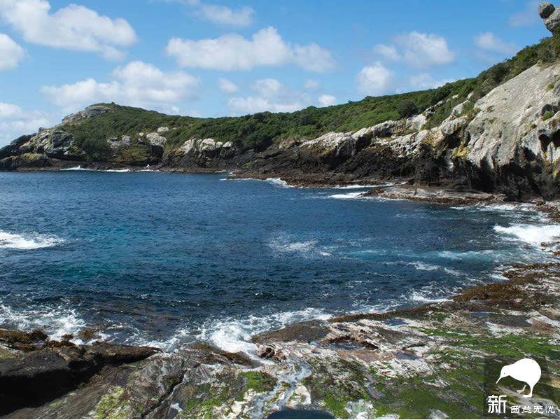 查塔姆群岛(chatham islands)