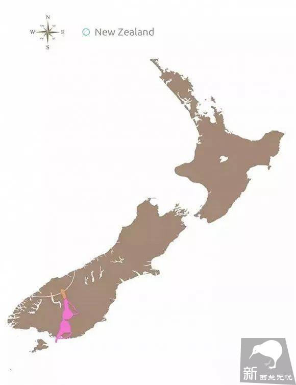 世界最污景点就在新西兰:漫山遍野都是胸罩,无数妹子各种脱光!背后原因很感人…