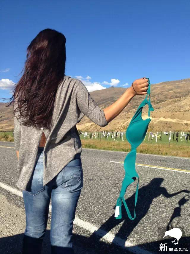 世界最污景点就在新西兰:漫山遍野都是胸罩,无数妹子各种脱光!背后原因很感人…