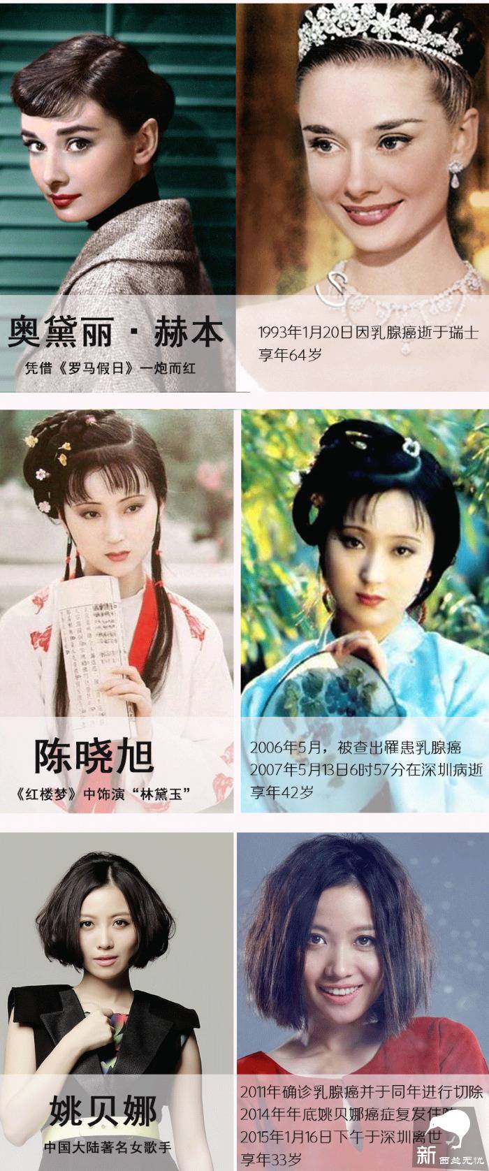 世界最污景点就在新西兰:漫山遍野都是胸罩,无数妹子各种脱光!背后原因很感人…