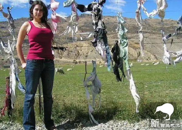 世界最污景点就在新西兰:漫山遍野都是胸罩,无数妹子各种脱光!背后原因很感人…