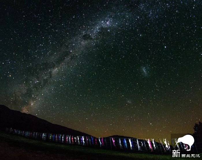世界最污景点就在新西兰:漫山遍野都是胸罩,无数妹子各种脱光!背后原因很感人…
