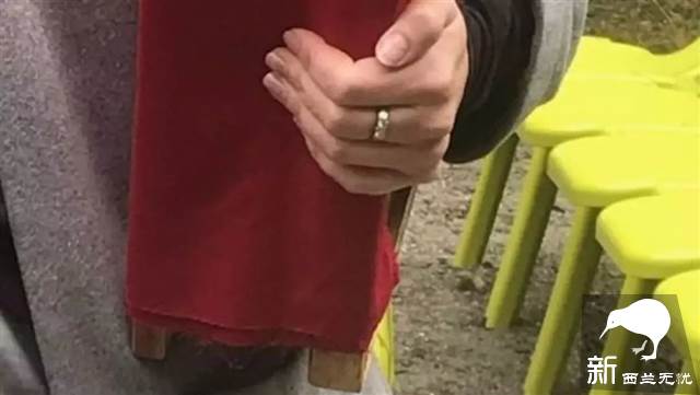 新西兰女总理突然宣布订婚!这样的事也只会在新西兰发生......
