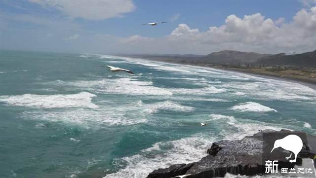 “新西兰10大最危险海滩”出炉,5个在奥克兰