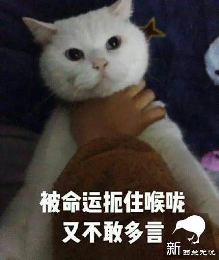 注意:新西兰夏令时本周日结束