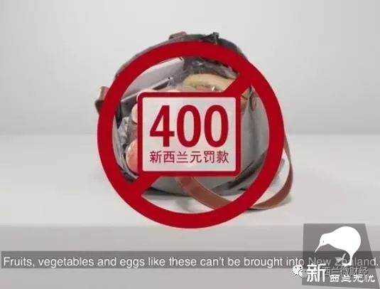 务必留意!所有来新西兰的航班将新增这个环节,关系到你的入境