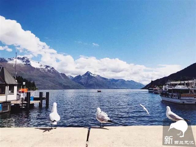 签证干货:新西兰旅游签证所需材料详解,提高你的出签率
