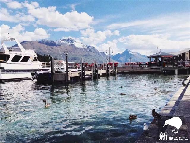 签证干货:新西兰旅游签证所需材料详解,提高你的出签率