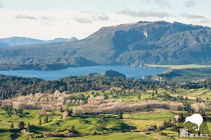 火山口下的罗托鲁阿(Rotorua)
