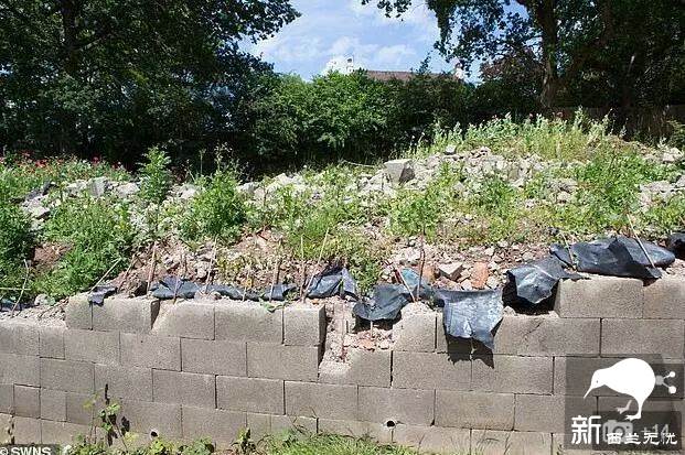 四处撒尿、盗窃、勒索、诈骗…这一大家子极品游客祸害完新西兰,回家继续作妖!当地人快哭了