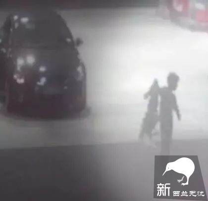 四处撒尿、盗窃、勒索、诈骗…这一大家子极品游客祸害完新西兰,回家继续作妖!当地人快哭了
