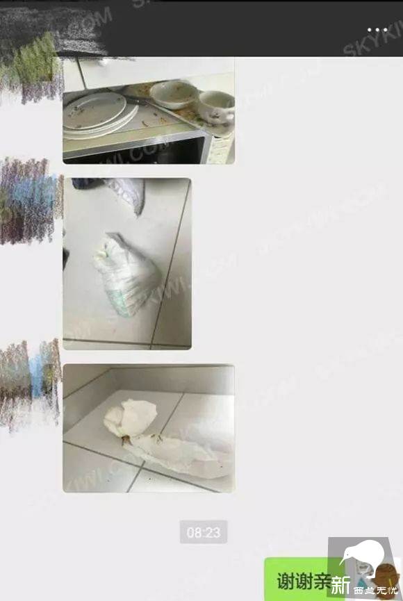四处撒尿、盗窃、勒索、诈骗…这一大家子极品游客祸害完新西兰,回家继续作妖!当地人快哭了