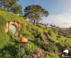 霍比屯（Hobbiton Movie Set）