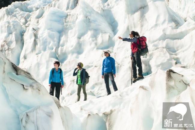 新西兰的弗朗兹·约瑟夫冰川(Franz Josef Glacier)和福克斯冰川(Fox Glacier)游玩简介