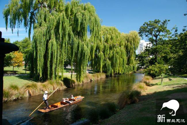 基督城,在美丽的雅芳河(Avon River)上乘船泛舟