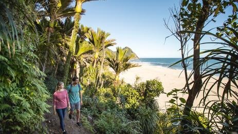 新西兰的九条顶级步道(The New Zealand Great Walks)简介