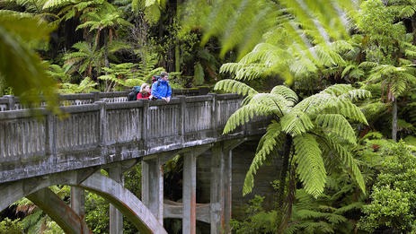 新西兰的九条顶级步道(The New Zealand Great Walks)简介