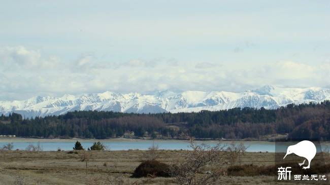 在蒂卡普湖(Lake Tekapo)旅游必须要做的10件事